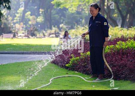 Vietnamienne non identifiés avec chapeau conique d'arroser l'herbe dans un parc. Banque D'Images