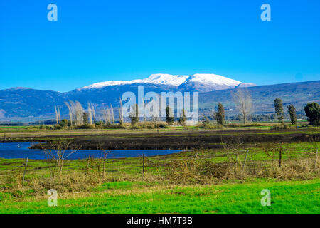 Vue de la Vallée de Hula et le mont Hermon, au nord d'Israël Banque D'Images