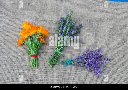 Plantes médicinales de lavande, de souci et de l'hysope bouquet sur toile Banque D'Images