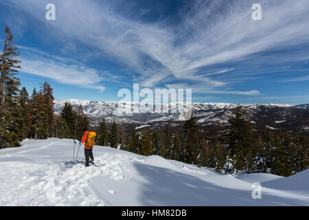 Un skieur d'arrière-pays admire le vaste vue panoramique de Point dans la neige winer Parc National de Kings Canyon. Banque D'Images