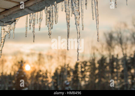 Beau Soleil briller dans les glaçons contre ciel bleu. Paysage de printemps avec des glaçons pendant de toit de maison. Banque D'Images