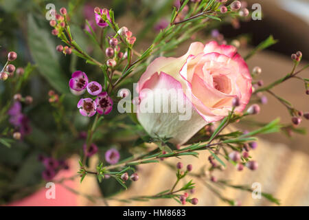 Bouquet de roses blanches et roses et un cadeau pour Waxflower Banque D'Images