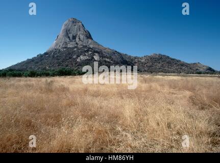 Dent de Mindif, pic rocheux près de Maroua, Cameroun. Banque D'Images