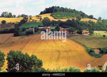 Paysage agricole près de Polverina, Macerata, Marches, Italie. Banque D'Images