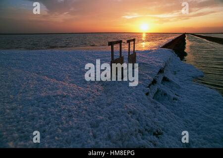 Foam créé par fort vent sur les bords des étangs de sel vu à l'aube, salines de Margherita di Savoia naturaliste de l'état Banque D'Images