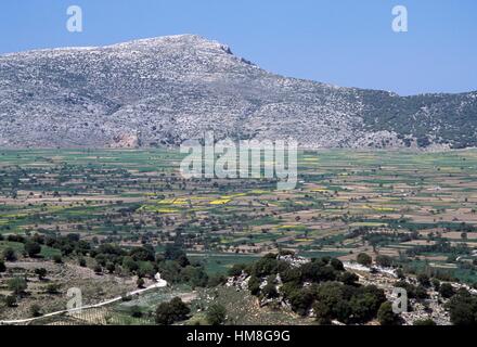 Paysage agricole du district, Lassithi, Crète, Grèce. Banque D'Images