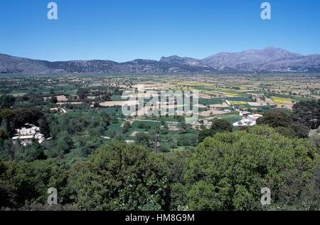 Paysage agricole du district, Lassithi, Crète, Grèce. Banque D'Images