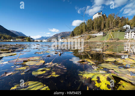 Les feuilles d'automne dans le lac du châssis de l'ancien Château de Tarasp, Auberge de district, canton des Grisons, Engadine, Suisse Banque D'Images