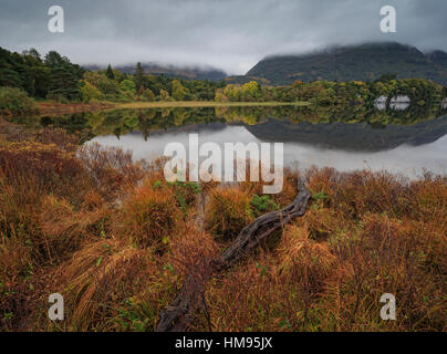 Muckross Lake, Killatney National Park, comté de Kerry, Munster, République d'Irlande Banque D'Images