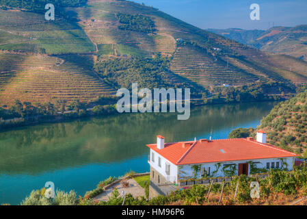 Quinta da Marka surplombant le fleuve Douro, Alto Douro Valley, Portugal Banque D'Images