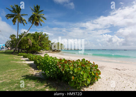 Plage Welches, Oistins, Christ Church, Barbade, Antilles, Caraïbes, Amérique Centrale Banque D'Images