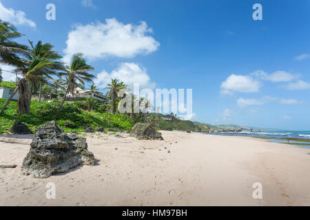 Plage de Bathsheba, Bethsabée, Saint Joseph, la Barbade, Antilles, Caraïbes, Amérique Centrale Banque D'Images