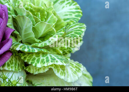 Chou vert avec pourpre rose sur un fond clair Banque D'Images