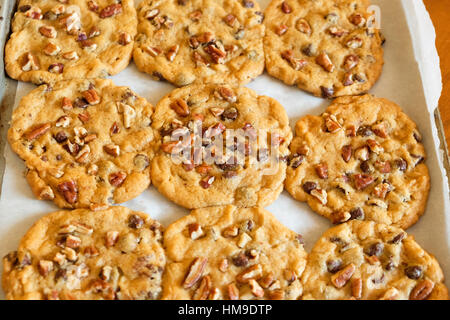 Fresh, pacanes chocolat chaud les cookies sur une plaque recouverte de papier sulfurisé. USA. Banque D'Images