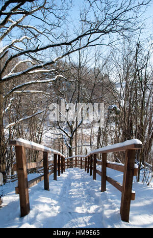 Voir l'escalier en bois sous la neige qui descend vers la vallée (Lituanie). Banque D'Images