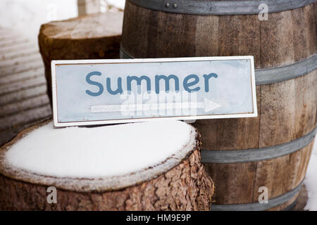 Panneau en bois bleu sur souche d'arbre avec le mot écrit dessus d'été Banque D'Images