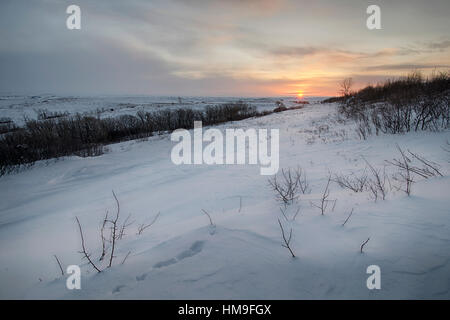 Lever de soleil sur les champs couverts de neige du Dakota du Nord, USA Banque D'Images