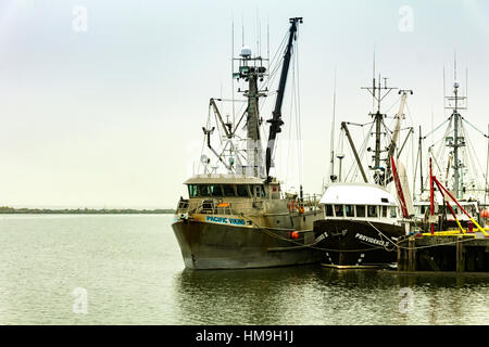 Fishing vessel Pacific Viking returning to Steveston Harbour on the Fraser  River near Vancouver British Columbia Canada Stock Photo - Alamy