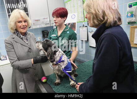 La duchesse de Cornouailles avec Willow le chien au cours de sa visite à la Battersea Dogs and Cats Home's Centre à Old Windsor. Banque D'Images