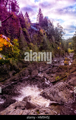 Belle couleurs d'automne dans la vallée - plein de belles feuilles d'automne dans la vallée de la rivière Sooke Sooke, Canada 3. Banque D'Images