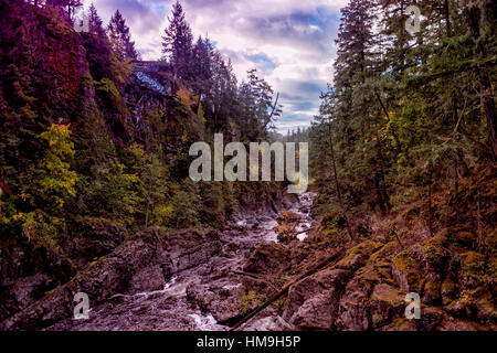 Belle couleurs d'automne dans la vallée - plein de belles feuilles d'automne dans la vallée de la rivière Sooke Sooke, Canada 2. Banque D'Images