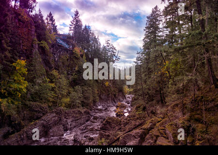 Belle couleurs d'automne dans la vallée - plein de belles feuilles d'automne dans la vallée de la rivière Sooke Sooke, Canada 1. Banque D'Images