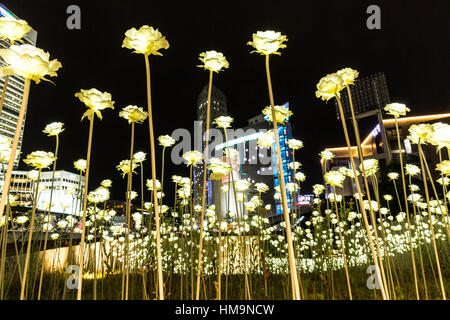 Jardin de fleurs blanches par nuit, Dongdaemun History & Culture Park, Dongdaemun Design Plaza, Séoul, Corée du Sud. Banque D'Images