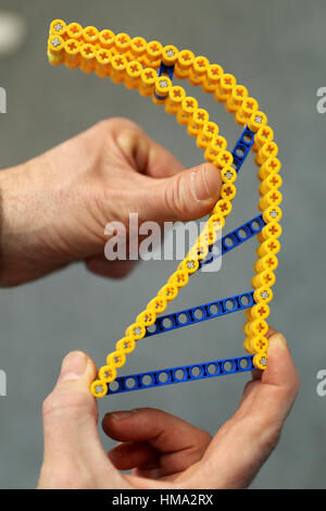 Nuremberg, Allemagne. 1er février, 2017. Blocs de construction flexibles 'bionicTOYS', qui permettent la reconstruction de dispositifs naturels peut être vu sur le stand du constructeur allemand 'bionicTOYS' à la 68e foire internationale du Jouet à Nuremberg, Allemagne, 1 février 2017. Le plus grand salon du jouet a lieu pendant les 1 et le 6 février 2017. Photo : Daniel Karmann/dpa/Alamy Live News Banque D'Images