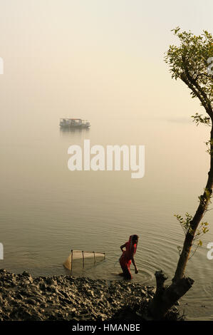 Sunderbans, INDE - 12 décembre : femme indienne recherche dans le delta du Gange pour la nourriture dans les Sundarbans jungle parc national en Inde, su Banque D'Images