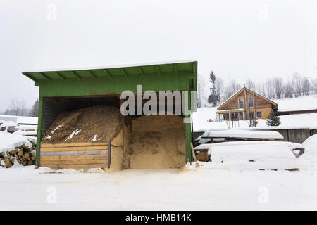 La sciure et les copeaux de bois pour chauffage près de scierie en hiver Banque D'Images