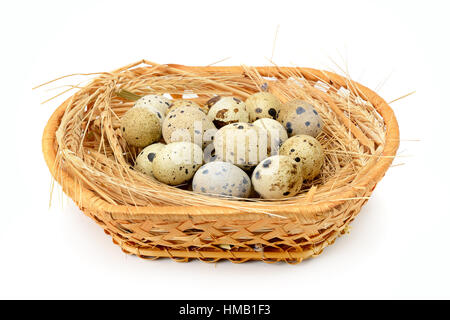 Des oeufs de cailles dans panier isolated on white Banque D'Images