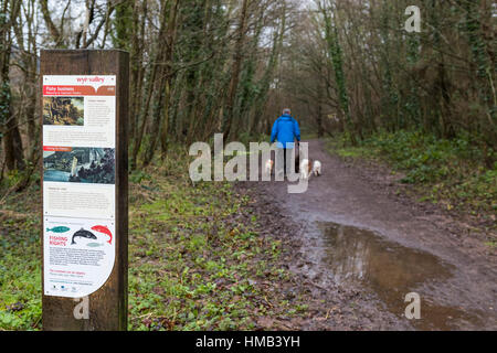 L'orientation et des panneaux d'information à la pêche parking pour Hadnock Arrêter trail, forêt de Dean. Banque D'Images