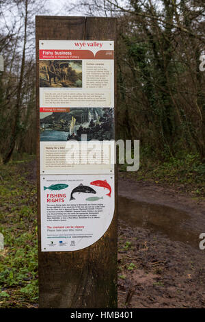 L'orientation et des panneaux d'information à la pêche parking pour Hadnock Arrêter trail, forêt de Dean. Banque D'Images