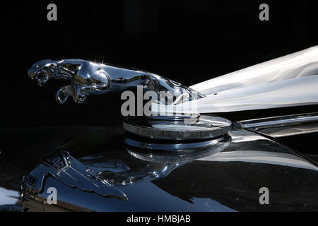 Voiture de mariage (Jaguar) avec ruban blanc Banque D'Images