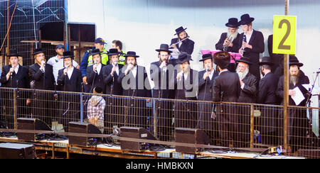 MERON, ISRAËL - Mai 07, 2015 : les Juifs orthodoxes de jouer de la musique et chanter à la foule dansant lors de l'Assemblée hillulah de Rabbi Shimon Bar Yochai, à Meron, sur L Banque D'Images