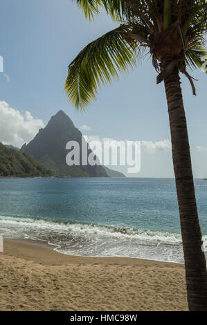 Vue de la plage sur la baie de la Soufrière à la mer et montagne à piton. Encadrés par un palmier Banque D'Images