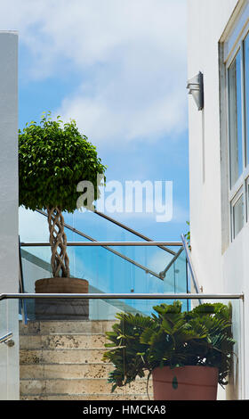 Verre vide balcon fleuri dans grande maison Banque D'Images