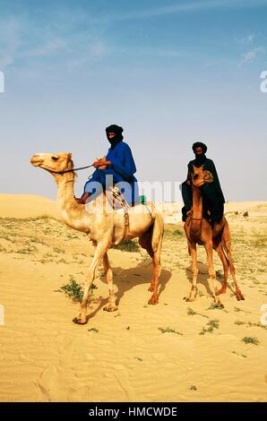 Les hommes portant des tagelmusts touareg autour de leurs têtes et visages chameaux dans le désert du Sahara au nord de Tombouctou, au Mali. Banque D'Images