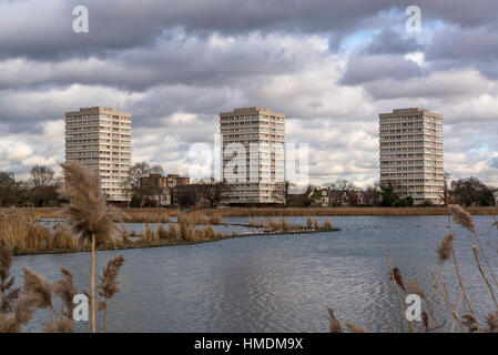 Les zones humides, la réserve naturelle de Woodberry Finsbury Park, London Borough of Hackney, Londres, Angleterre, Royaume-Uni Banque D'Images