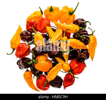 Autre variété de piment - un tas de piments, isolé sur blanc. Sarit piment Gat, Rouge cerise, Cayenne, Serrano, Caraïbes Habanero Oran Banque D'Images