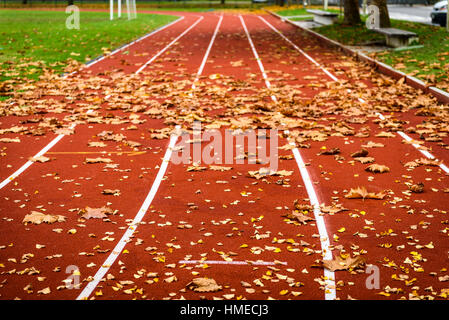 Les feuilles d'érable sur une piste de course dans le stade d'athlétisme. Vieux et abandonnés run track ou d'installations sportives couvertes dans les feuilles d'automne. Une nouvelle piste avec tar en caoutchouc Banque D'Images