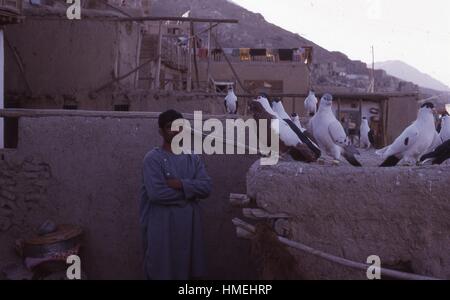 Les marchands pigeon pose avec son bétail perché sur le bord de son échoppe de marché à Kaboul, Afghanistan, novembre 1973. Banque D'Images