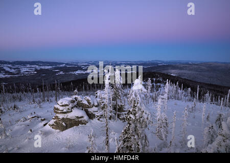 Colorés, frosty matin sur le mont Dreisessel en Allemagne. Dans l'arrière-plan de la ceinture de Vénus Banque D'Images