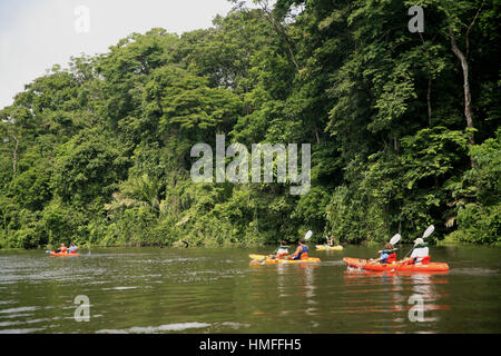 Les touristes en kayak sur les canaux d'eau douce dans le Parc National de Tortuguero, Costa Rica, Côte des Caraïbes. Banque D'Images