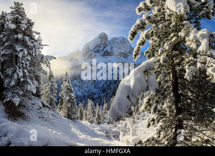 Le soleil illumine le paysage de neige et Sass de Putia en arrière-plan, le Passo delle Erbe, Funes, vallée du Tyrol du Sud, Italie Banque D'Images