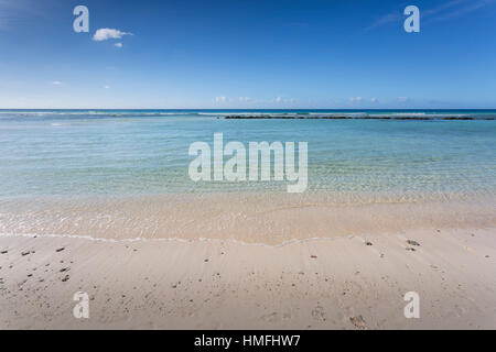 Hastings Beach, Christ Church, Barbade, Antilles, Caraïbes, Amérique Centrale Banque D'Images