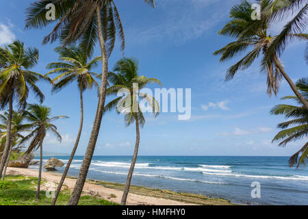 Plage, Bethsabée, Saint Joseph, la Barbade, Antilles, Caraïbes, Amérique Centrale Banque D'Images