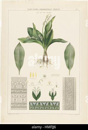 Louis Prang - Plant-Forms Ornamentally traités - Lily of the Valley Banque D'Images