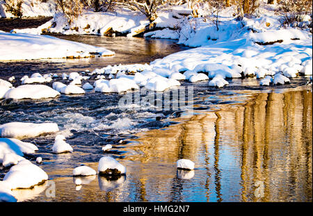 L'hiver, les réflexions de la neige et des arbres cottonwood en hiver. La rivière de Boise, Boise, Idaho, USA Banque D'Images