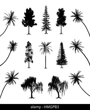 Les arbres avec des racines et de palmiers Illustration de Vecteur